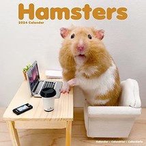 Hamsters Calendar 2024 | Square Animal Wall Calendar - 16 Month: Origina... - $19.00