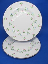 Royal Victoria Fine Bone China Pink Blue Flowers 8&quot; Salad Plate  Bundle of 6 - £22.51 GBP