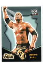 2002 Fleer WWE Royal Rumble The Rock AKA Brahma Bull #81 Dwayne Johnson Card -NM - $2.75