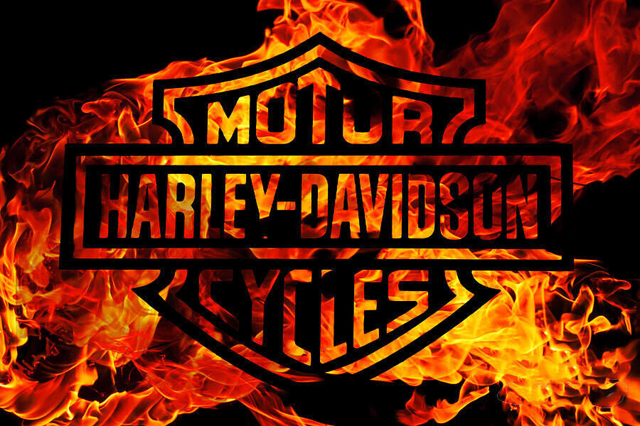 Primary image for Framed canvas art print giclée harley davidson logo flames
