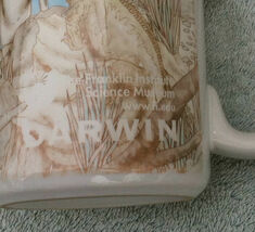 Charles Darwin coffee mug, Franklin Institute image 3