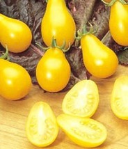 300 pcs Yellow Pear Tomato Lycopersicon Lycopersicum Fruit Vegetable Seeds - £7.07 GBP