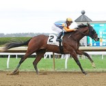 DORNOCH 8X10 PHOTO HORSE RACING PICTURE JOCKEY - $4.94