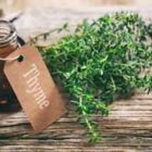 German Winter Thyme - Seeds - Organic - Non Gmo - Heirloom Seeds 10 Seeds - £8.77 GBP