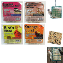 4 Pack Heath Outdoor Products All Season Suet Cake Bird Food Wild Treat 11.25 oz - £27.17 GBP