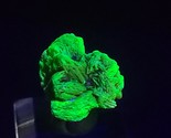 3.3 Gram  Meta -autunite Crystal, Fluorescent Uranium Ore - $46.00