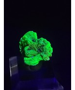 3.3 Gram  Meta -autunite Crystal, Fluorescent Uranium Ore - £36.06 GBP