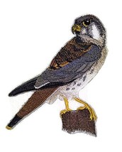 Nature Weaved in Threads, Amazing Birds Kingdom [American Kestrel ] [Custom and  - £13.22 GBP