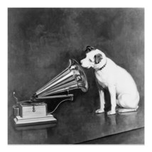 1898 Nipper the Dog Looking at and Listening to a Phonograph Photo Print Poster - £15.97 GBP+