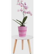 Indoor Plant Stand - Height 8.9&#39;&#39; Wood Flower Pot Holder, Small Round Si... - $24.74