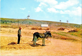 Postcard Spain  Windmills Farmer Donkeys Unposted  Undated 6 x 4 inches - £4.60 GBP