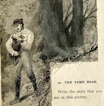 1878 Print The Tame Bear Lessons In English 6 x 4.75&quot; Antique - £15.00 GBP