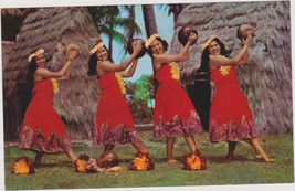1960&#39;s Postcard HULA NANI GIRLS In Pahu Skirts - £2.33 GBP