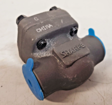 Sharpe Valves Series Carbon Steel Piston Check Valve 24834SC | 1/2-800 A105N YBD - £40.08 GBP