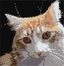 Pepita Needlepoint kit: Curious Cat, 10&quot; x 10&quot; - £60.92 GBP+