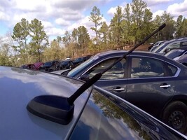 FOCUS     2015 Antenna 1038073041Antenna Only, No Wiring Harness, Color ... - $54.88 FOCUS     2015 Antenna 1038073041Antenna Only, No Wiring Harness, Color ... - $54.88