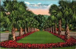 Postcard Silver Springs FL Florida 1936 Posted Palm Trees  - £7.43 GBP