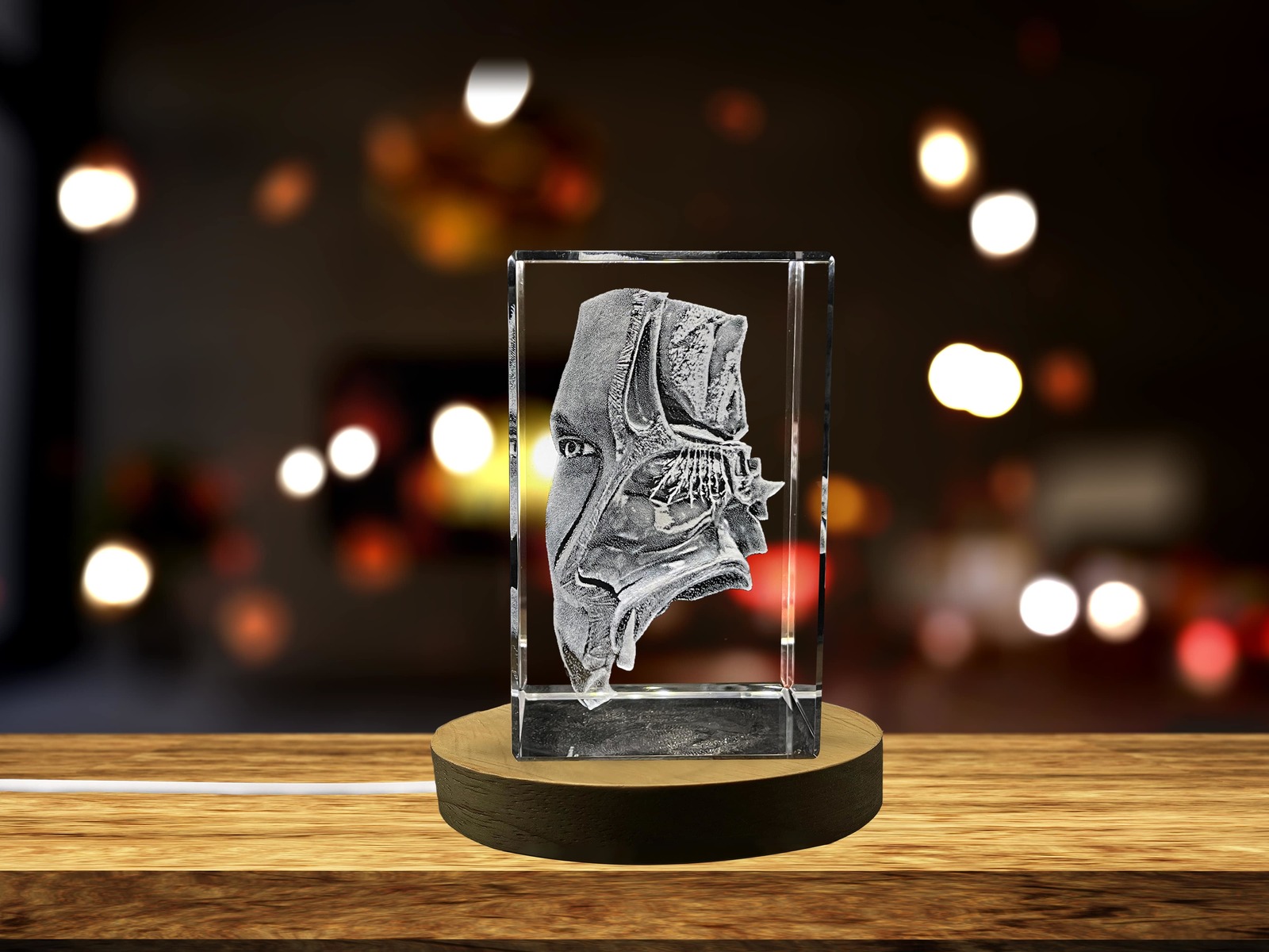 LED Base included | Nose-Art | 3D-Engraved-Crystal-Keepsake | Gift/Decor