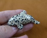 (Y-WHA-KI-715) spotted jasper KILLER WHALE ORCA gemstone figurine gem wh... - $23.36