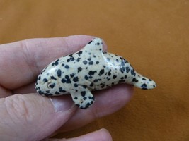 (Y-WHA-KI-715) spotted jasper KILLER WHALE ORCA gemstone figurine gem wh... - $23.36
