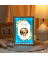 Pet memorial frame light box, pets, dogs, cats, pet memorial gift, dog memorial  - $25.00