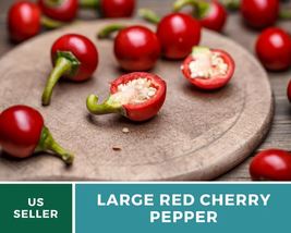 25 Pepper Red Hot Cherry Seeds Capsicum annuum Vegetable Small Fiery Pepper - $15.76