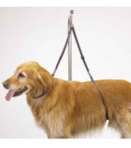 27 Inch Nylon Grooming Table Harnesses for Dogs Adjustable Safety and Control Ch - $17.95+