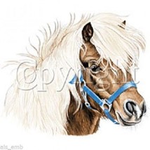 Shetland Pony Horse Heat Press Transfer For T Shirt Tote Sweatshirt Fabric #241e - £5.24 GBP