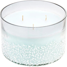 Northern Lights Woodland Bluebell scent 28 oz Scent Jar, scented, 3 wick candle - £31.38 GBP