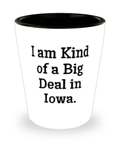 I am Kind of a Big Deal in Iowa. Shot Glass, Iowa Ceramic Cup, Beautiful... - $9.75