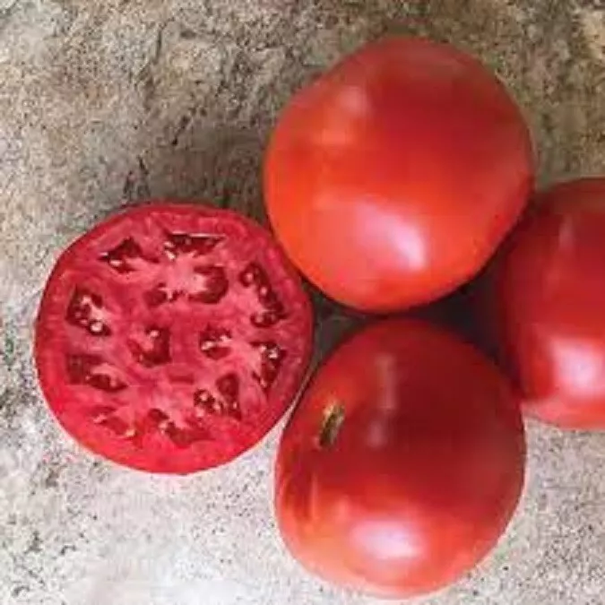 50 Seeds Roadster Tomato Vegetable Garden - $9.60