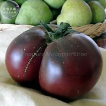 100 Seeds Black Elephant Tomato Organic Big Sweet Tomato Beautiful - $7.11