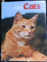 Cats Coffey, David J - £15.42 GBP