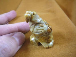 (y-bir-pa-10) PARROT Macaw bird tan red gemstone SOAPSTONE carving I lov... - £6.84 GBP