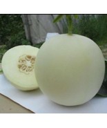 White Muskmelon Seeds 10PCS Seeds Sugar Jar Melon Delicious Fruit Garden... - $8.02