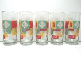 5 Tabasco Authentic Glassware Retro 6&quot; Drinking Highball Rocks Tumbler B... - $39.57