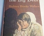 Andrew, the big deal Wallace, Barbara Brooks - $2.93