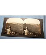 Curved Stereoview-1924 Yale vs Brown Football Bowl Game-Keystone View Co... - €6,39 EUR
