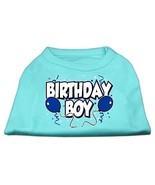 Birthday Boy Screen Print Shirts Aqua Med - $42.38 CAD