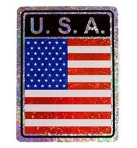 AES Country USA American United States Horizontal Reflective Decal Bumpe... - £2.71 GBP