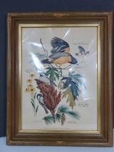 VTG Arthur Singer Bird Print Lithograph #8 Black Capped Chickadee - Plate 1950&#39;s - £15.17 GBP