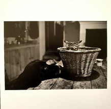 Richard Kalvar - Signed Photo - Magnum Square Print - $447.93