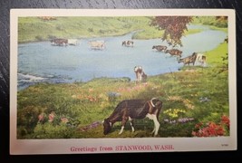 Stanwood Washington Holstein Cows Graze on Banks of Creek 1941 Linen PC - $14.09