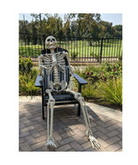 Sunstar Titan Skeleton W/Color Sticker On Carton - 7 Feet - $1,283.56