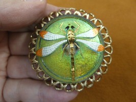 (z40-3) green + golden white Dragonfly Czech glass button round brass brooch pin - £33.61 GBP