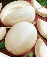 Cantaloupe Specialty Melon Portuguese Branco Do Ribatejo   Sweet Op - €6,99 EUR