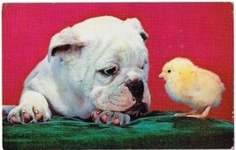 Comic Cute Postcard Woof Dog and Baby Chick - £1.71 GBP
