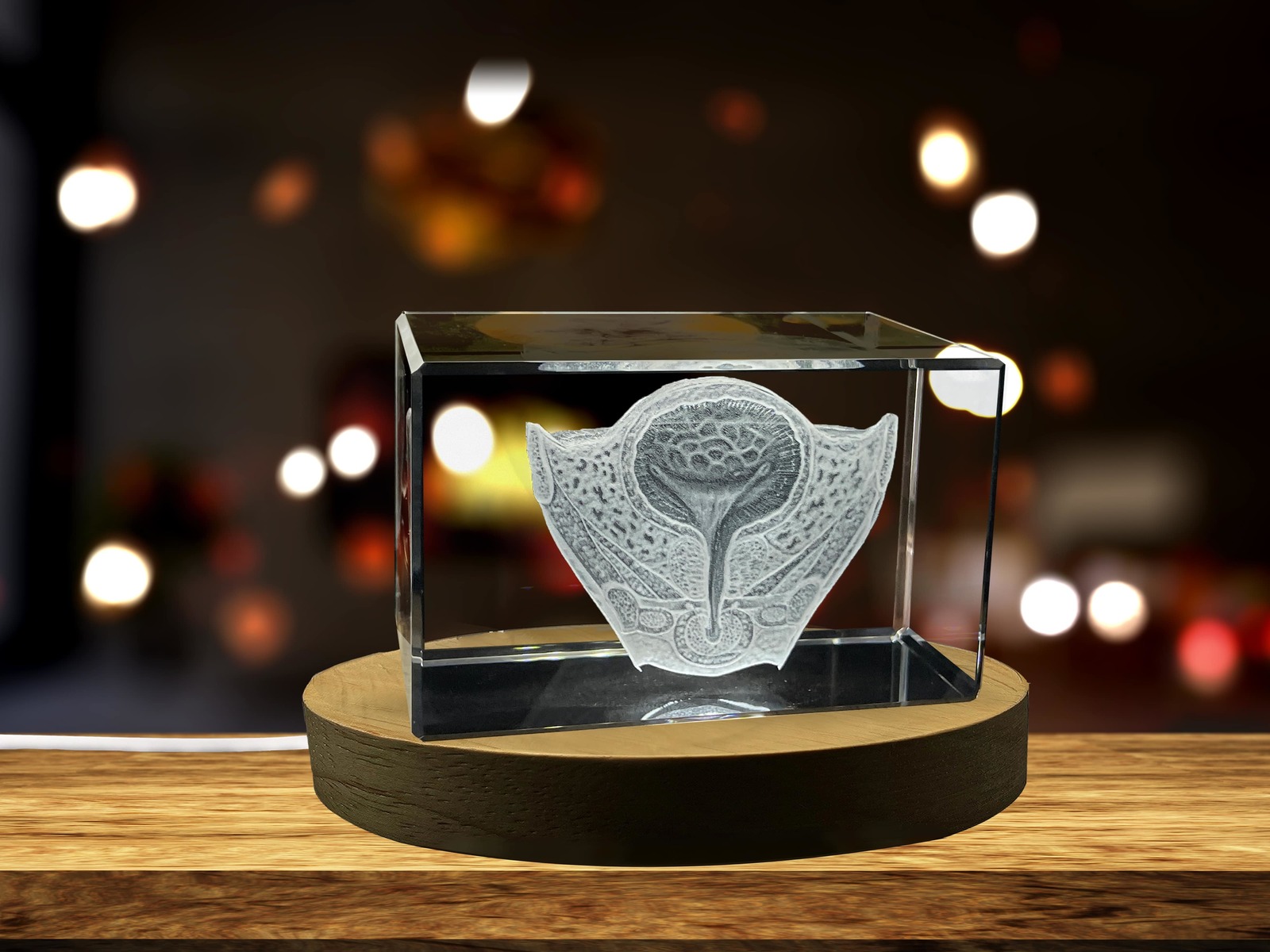 LED Base included | Urinary bladder | 3D Engraved Crystal Keepsake