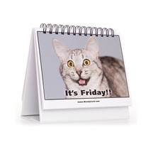 Office Gift for Cat Lovers - Moodycards! Make Everyone Laugh with These Adorable - £4,019.77 GBP
