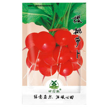 1000 pcs Cherry Belle Radish Seeds | Red Globe Radishes Heirloom Root Vegetable  - £3.97 GBP